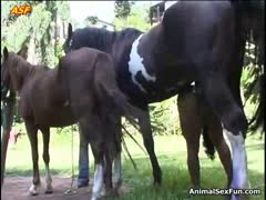 Drunk golden-haired with horse